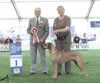 Hound Group 1 @ SKC
