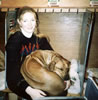 Even at Crufts your Ridgeback will expect her home comforts.
