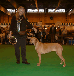 Kiera Best Puppy at Crufts 06